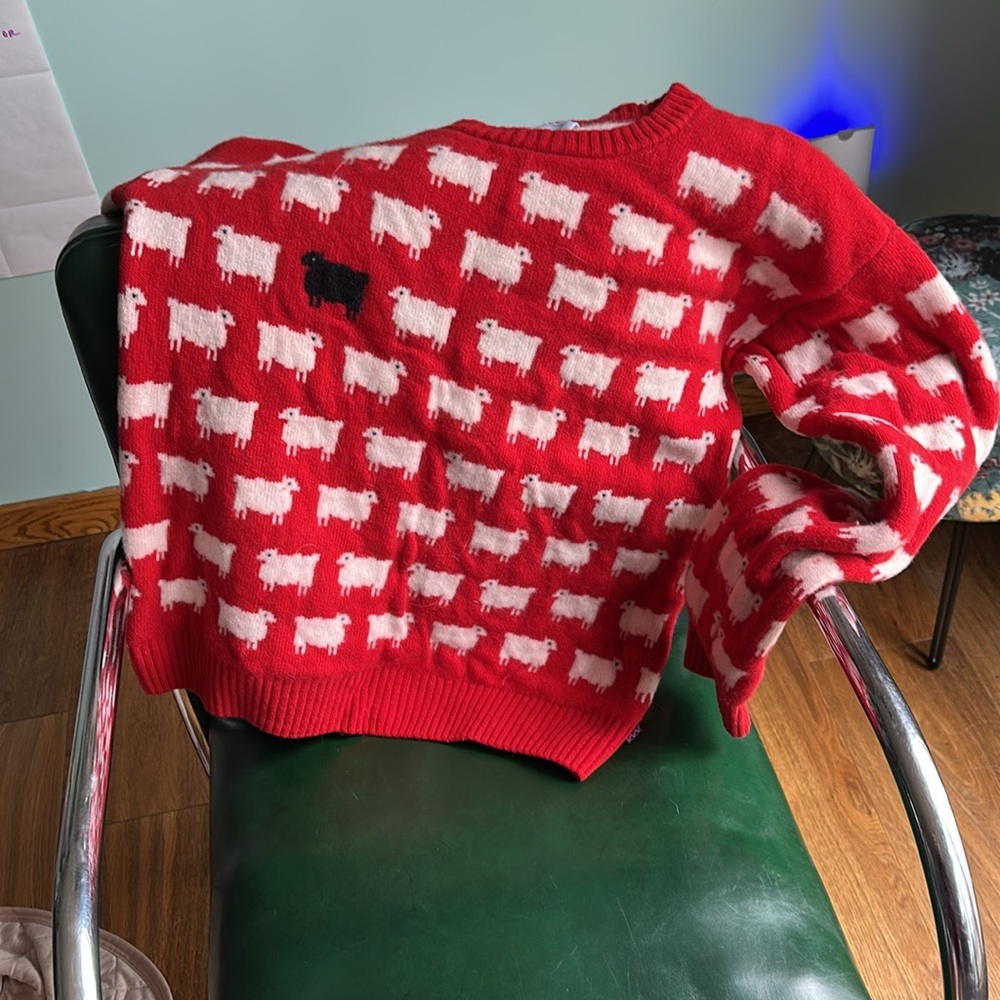 Rowing Blazers Warm & Wonderful Red 100% Wool Diana Fitted Sheep Sweater XL - Picture 5 of 13